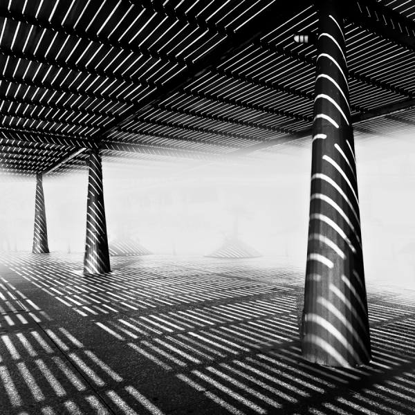Photograph Jose Conceptes Zebra on One Eyeland